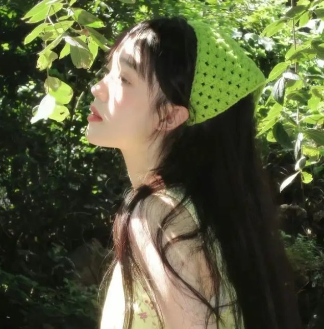 我的老婆是只猫