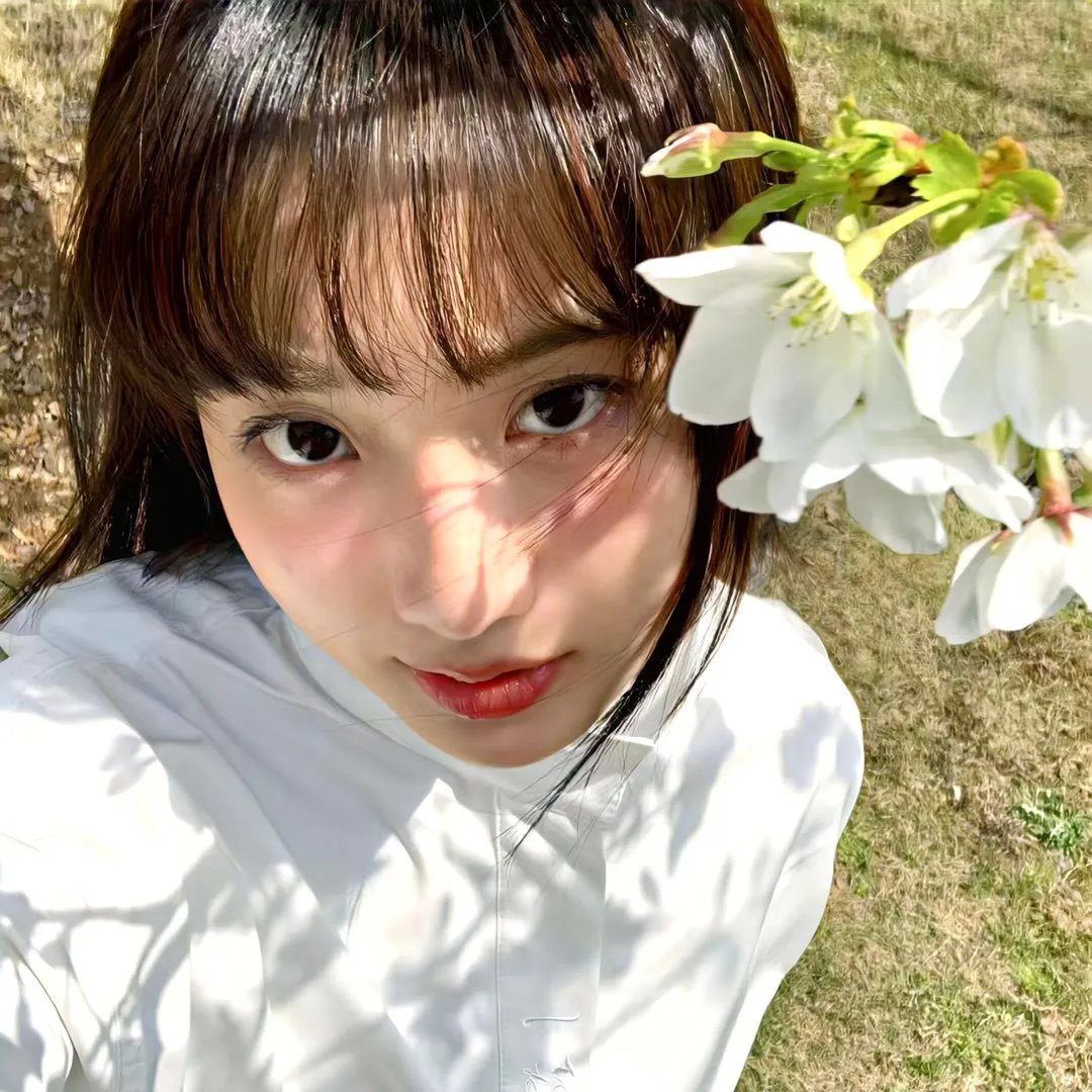 彩云飞
