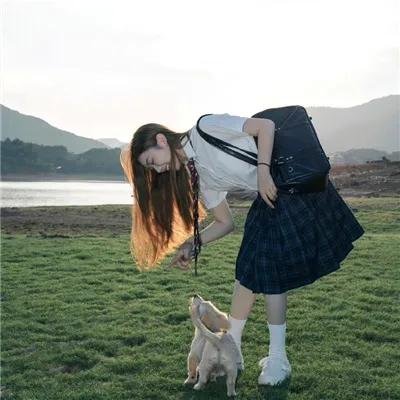 托梅斯的导盲犬